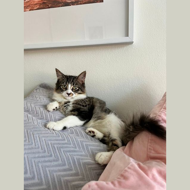 Photo of Mayo
