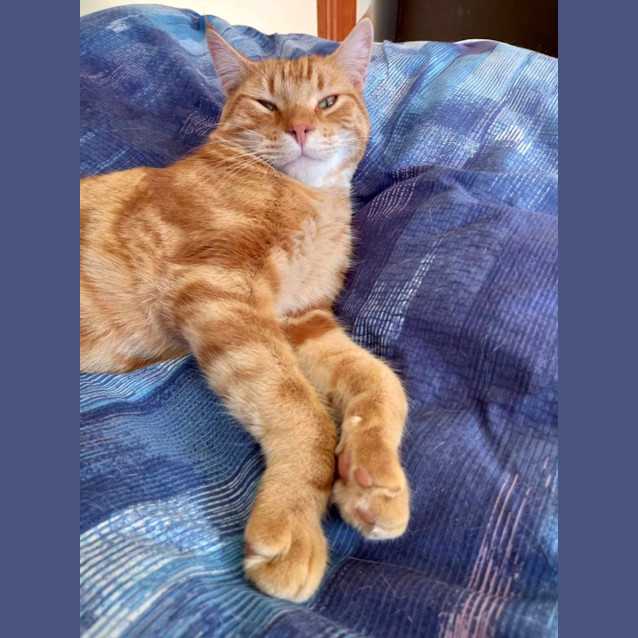 Photo of Sesame And Mila