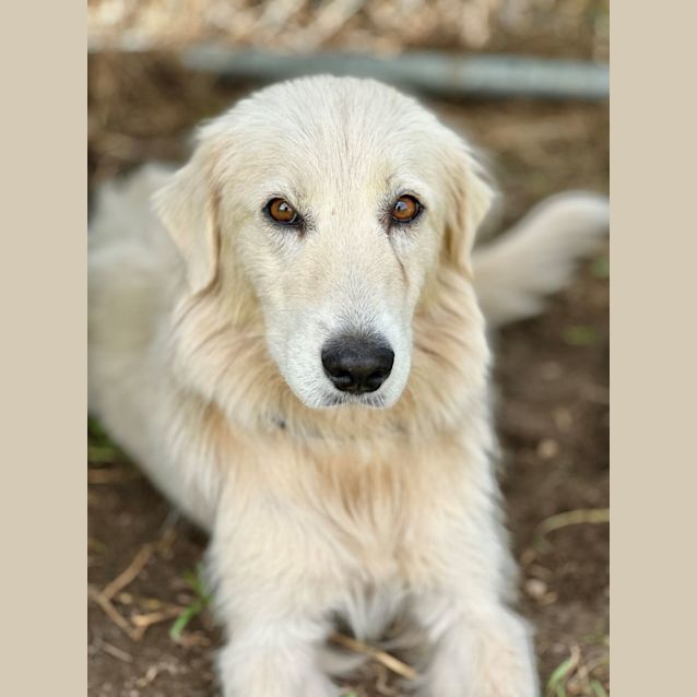 Photo of Jocie