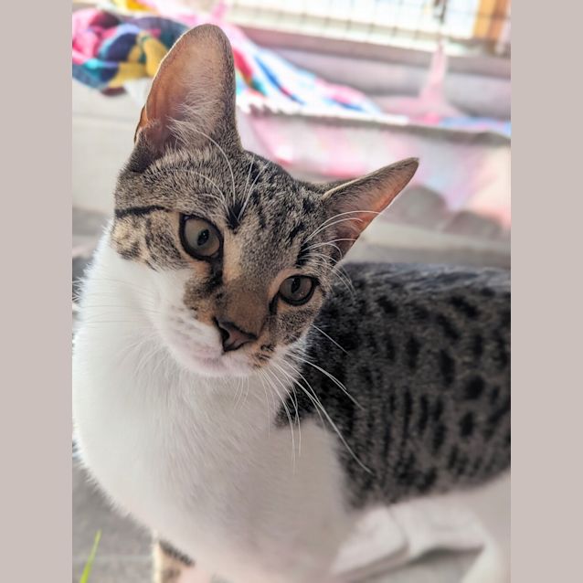 Photo of Marlo