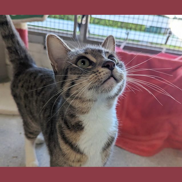 Photo of Diamond