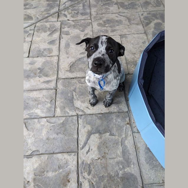 Photo of Olive