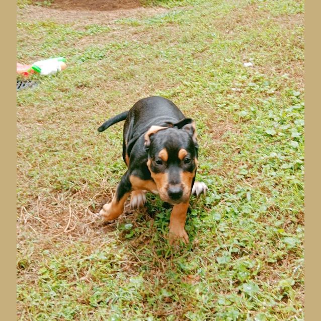 Photo of Bonita