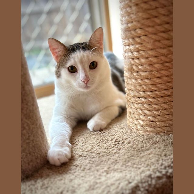 Photo of Reef   Located In Fawkner