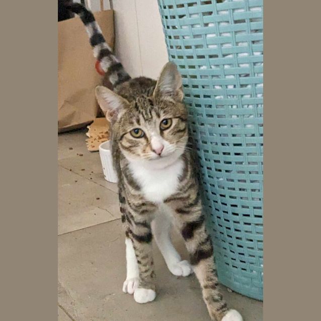 Photo of Zadie   Located In Reservoir