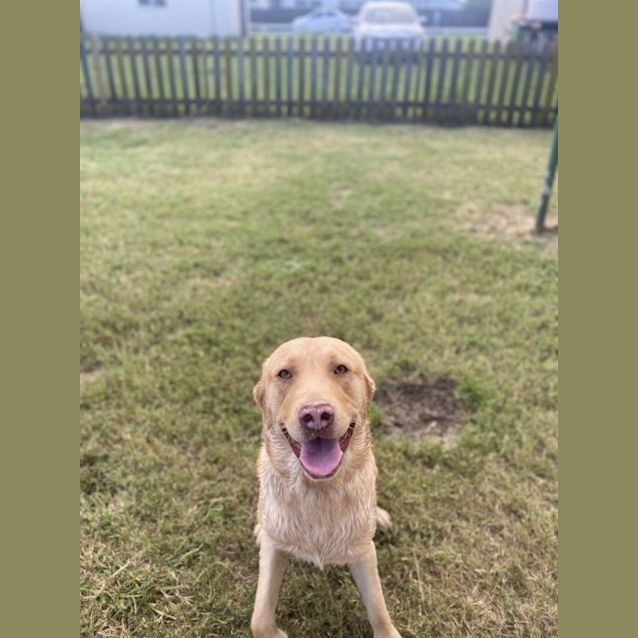 Photo of Lenny 