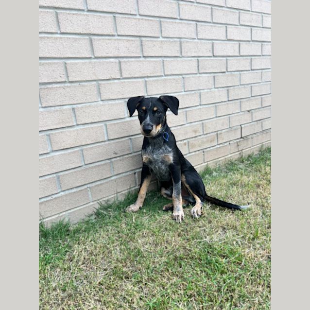 Photo of Mack