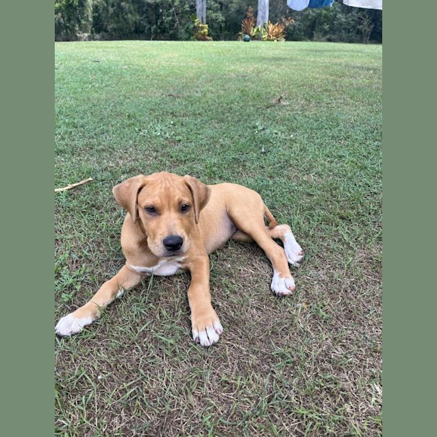 Photo of Mojito