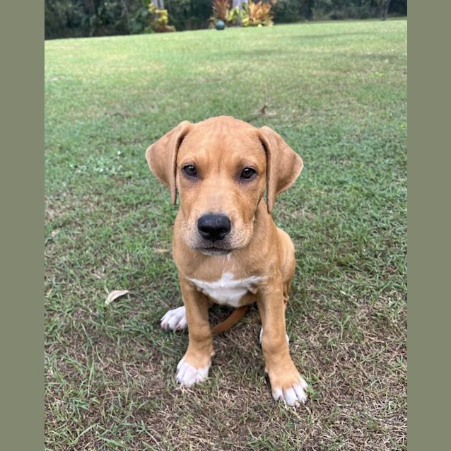 Photo of Mojito