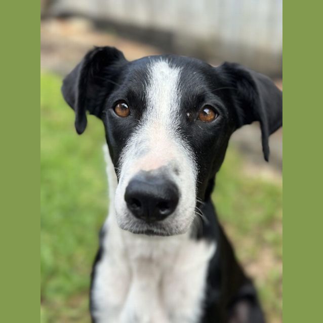 Photo of Tessie