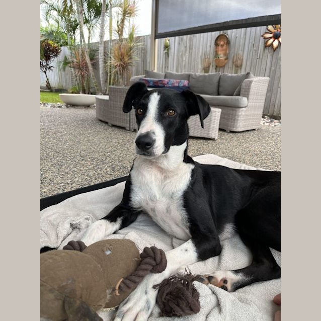 Photo of Tessie