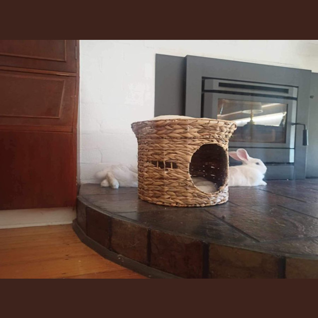 Photo of Clementine & (Calamity) Jane