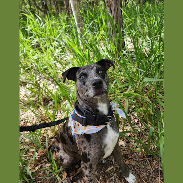 Photo of Elsa