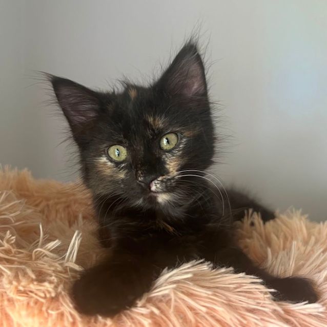 Photo of Charlotte 🌸💕