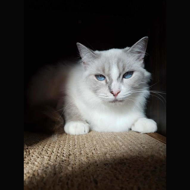 Photo of Bonnie & Cylde 