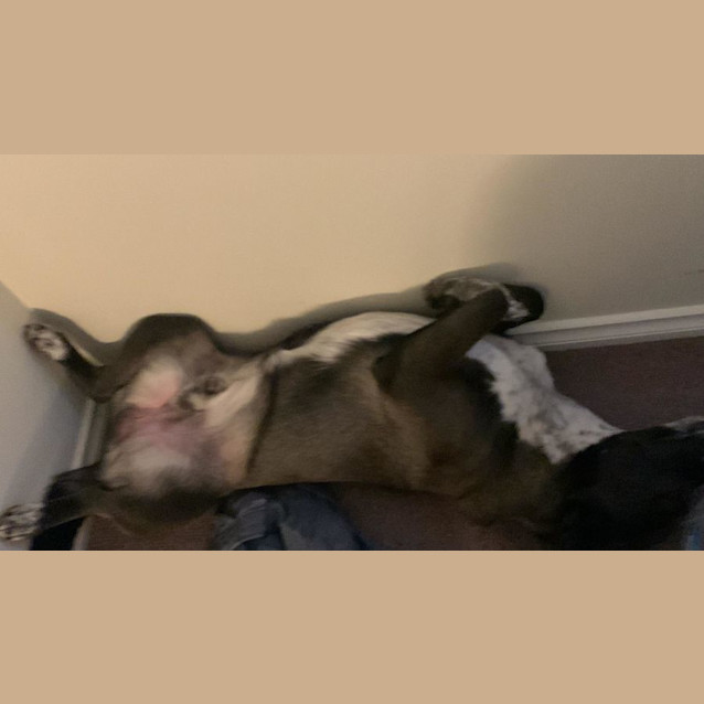 Photo of Jim 