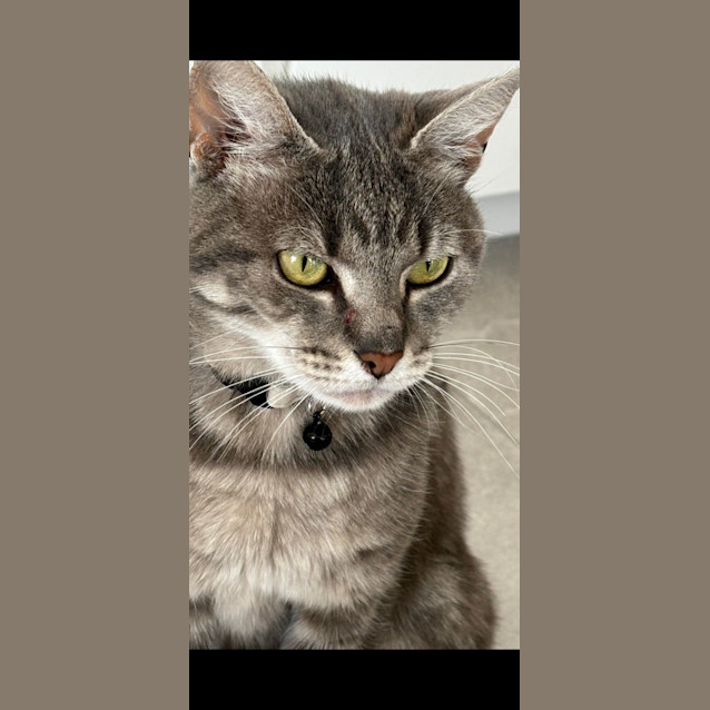 Photo of Shaye 