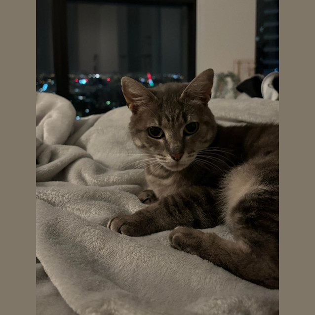 Photo of Shaye 