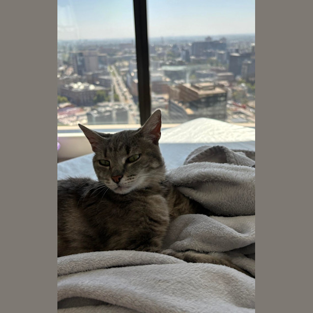 Photo of Shaye 