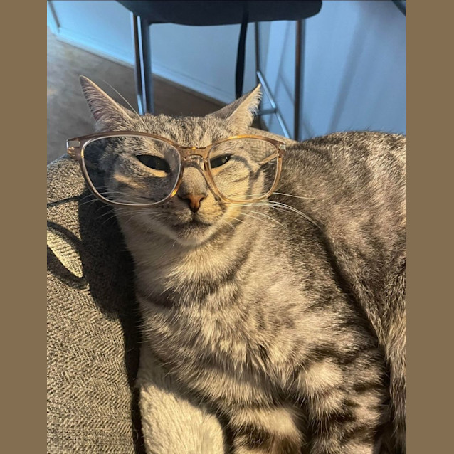 Photo of Shaye 