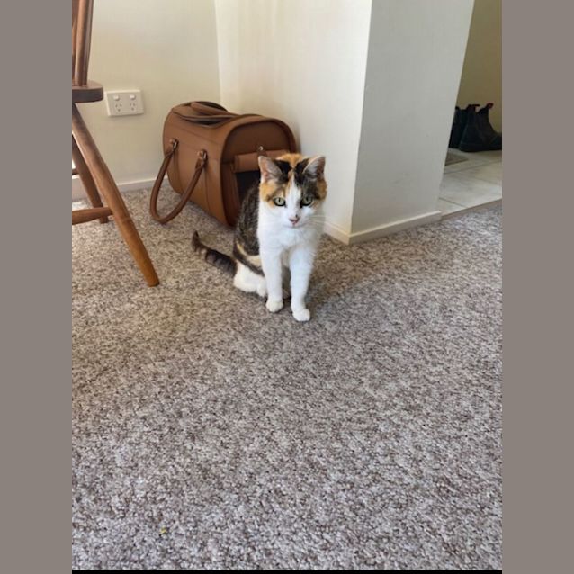 Photo of Bonnie Sally 