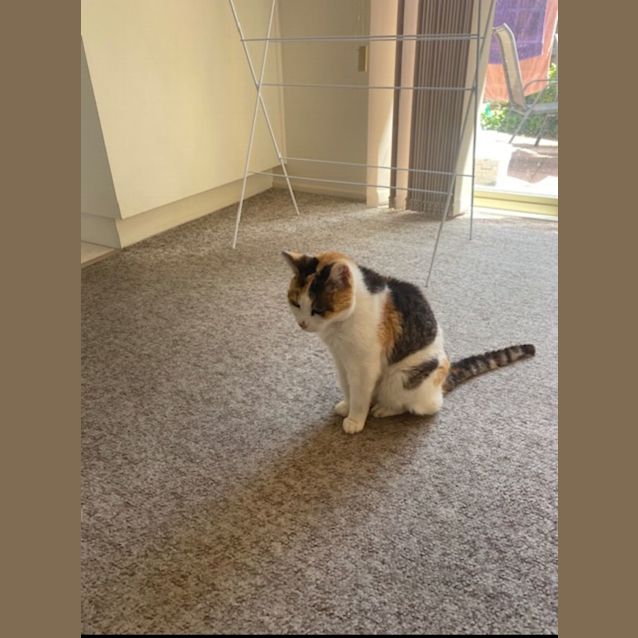 Photo of Bonnie Sally 