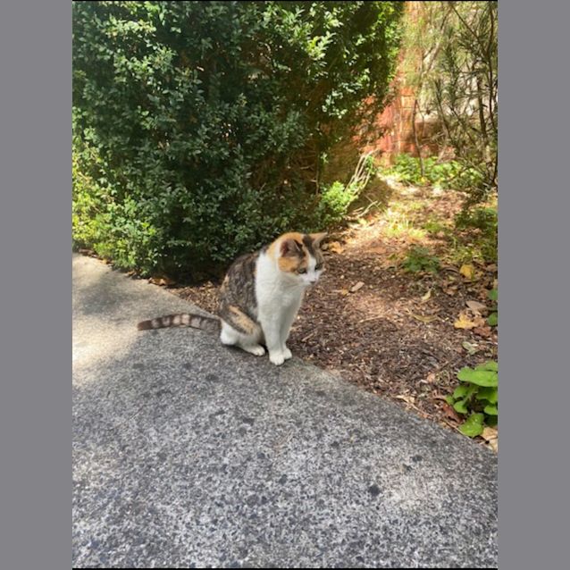 Photo of Bonnie Sally 