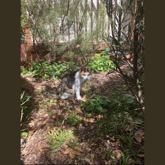 Photo of Bonnie Sally 