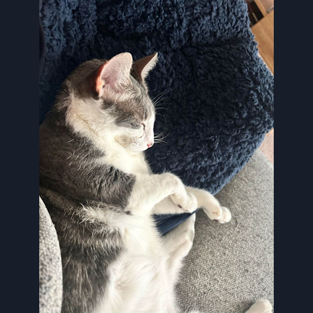 Photo of Monique   Located In Port Melbourne