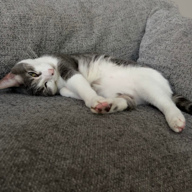 Photo of Monique   Located In Port Melbourne