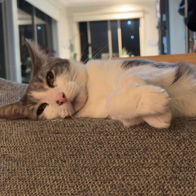 Photo of Monique   Located In Port Melbourne