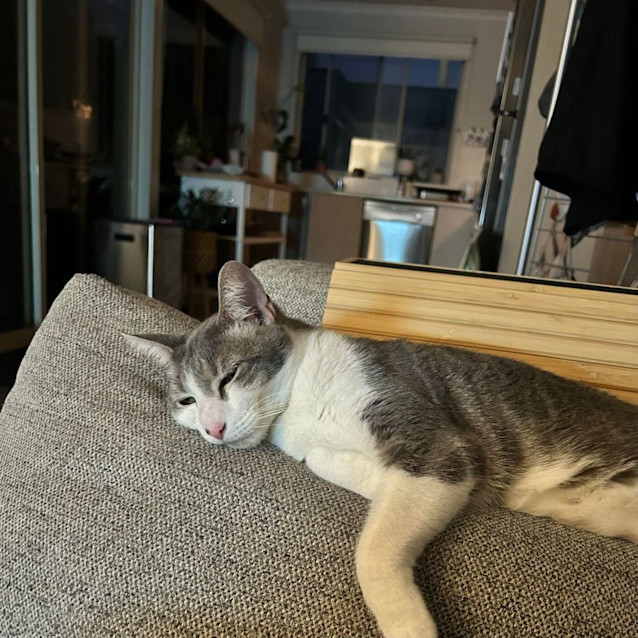 Photo of Monique   Located In Port Melbourne