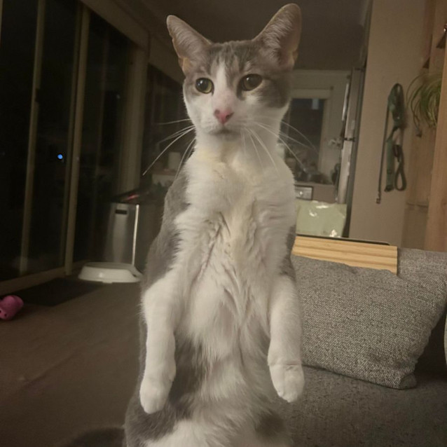 Photo of Monique   Located In Port Melbourne