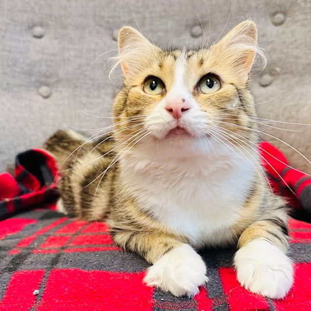 Photo of Jimmy   Located In Preston