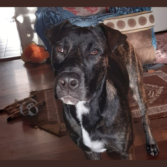 Photo of Charlie
