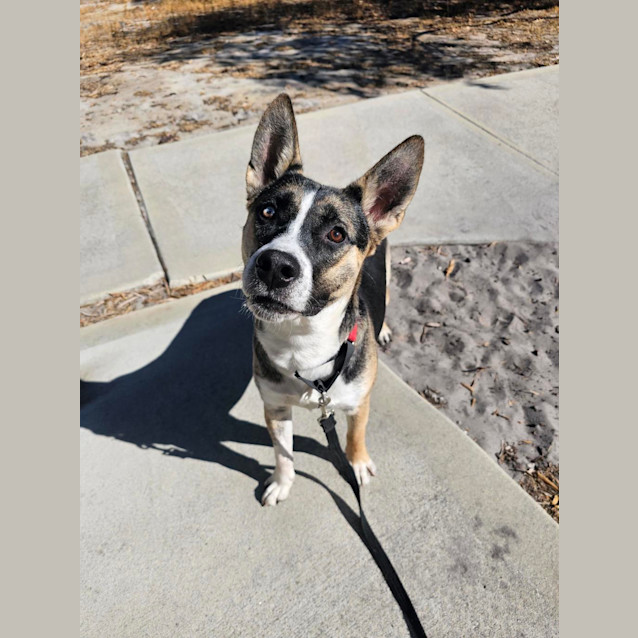 Photo of Sheldon