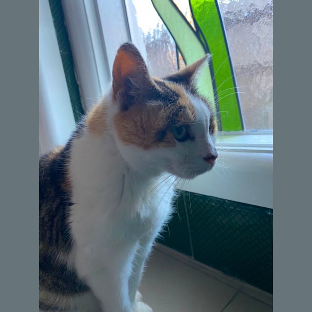 Photo of Bonnie Sally 