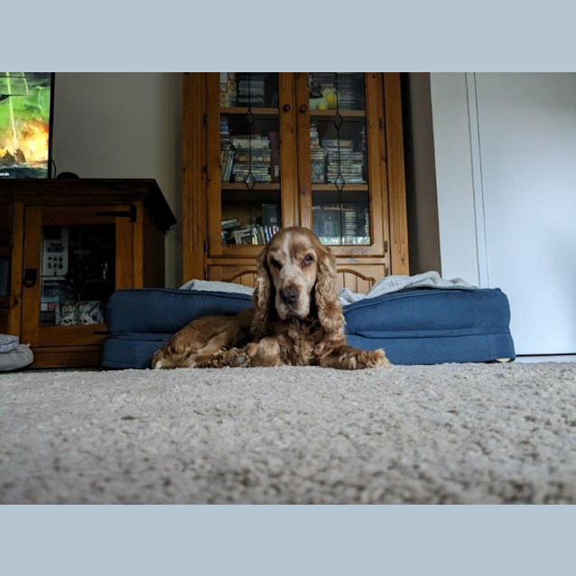 Photo of Stevie Elphinstone