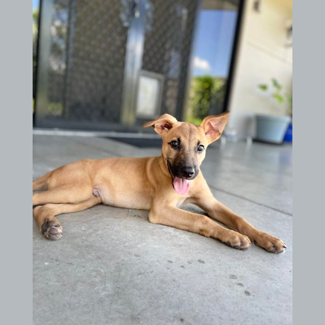 Photo of Timtam