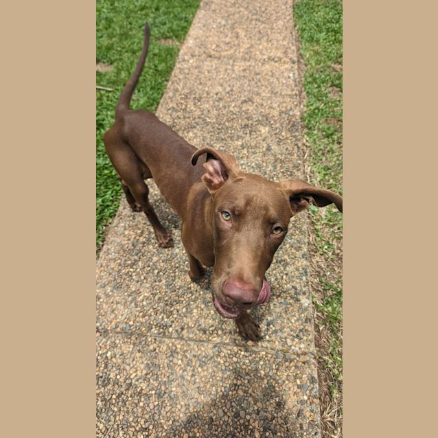 Photo of Louie