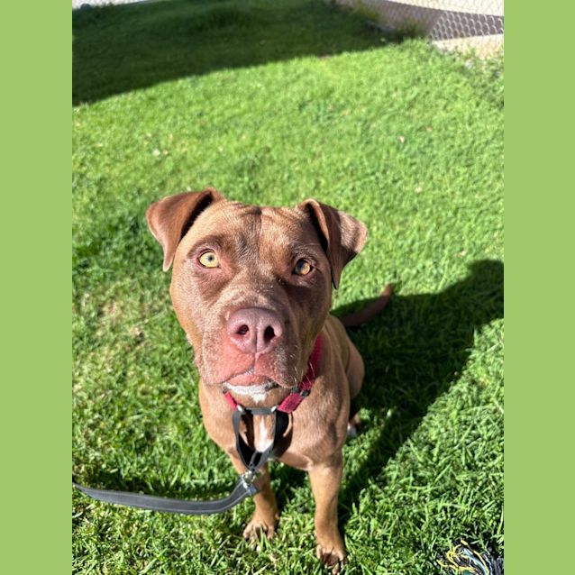 Photo of Zara