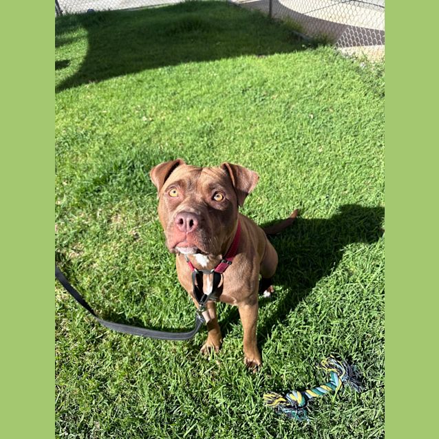 Photo of Zara