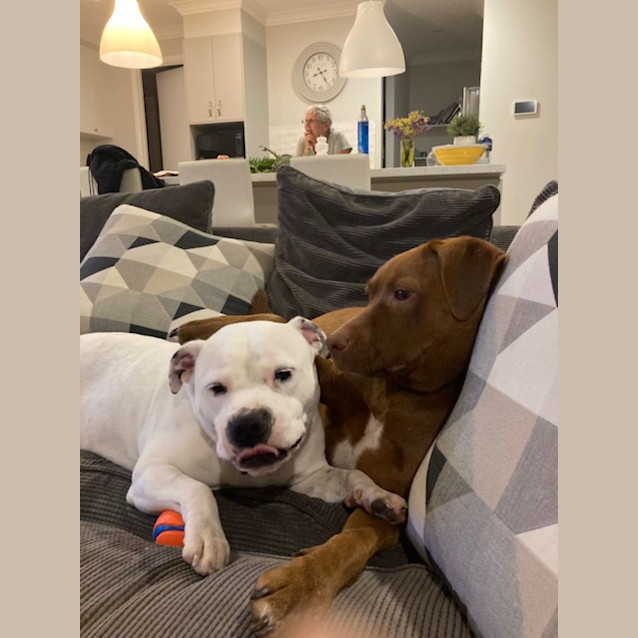 Photo of Lady Mc Wigglebottom