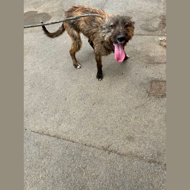 Photo of Scrap