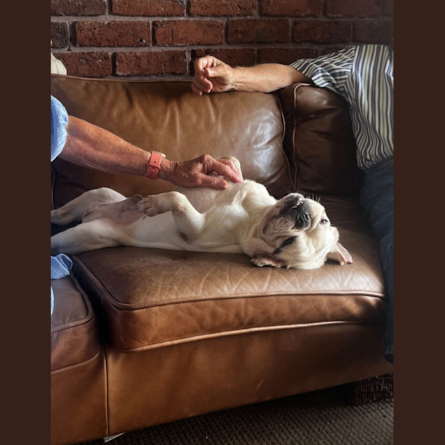 Photo of Meatball