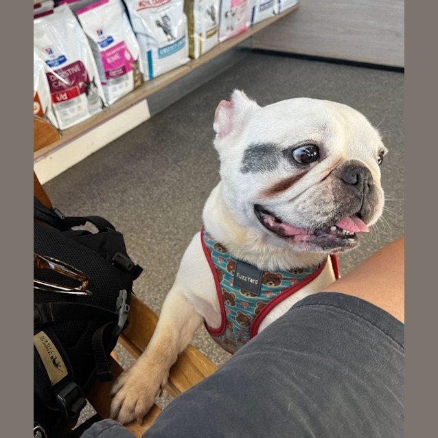 Photo of Meatball