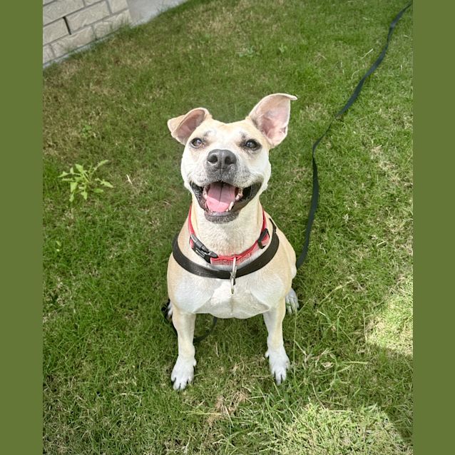 Photo of Missy