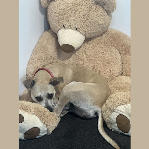 Photo of Missy