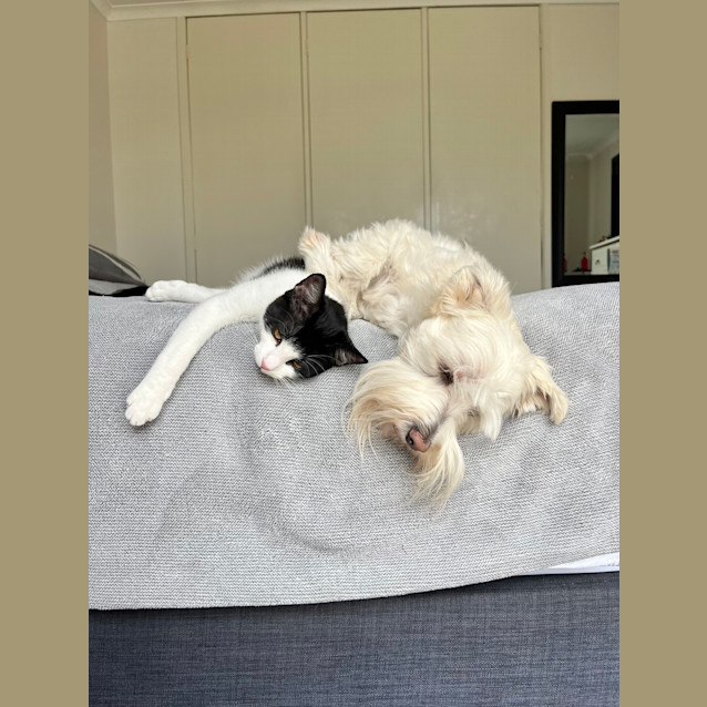 Photo of Betty (And Beatrice)