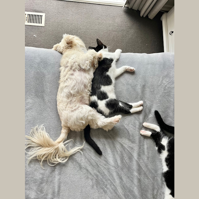 Photo of Betty (And Beatrice)